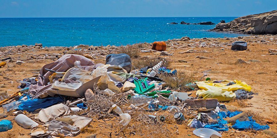Wir haben nur eine Erde Plastik  geh rt nicht in die Umwelt 